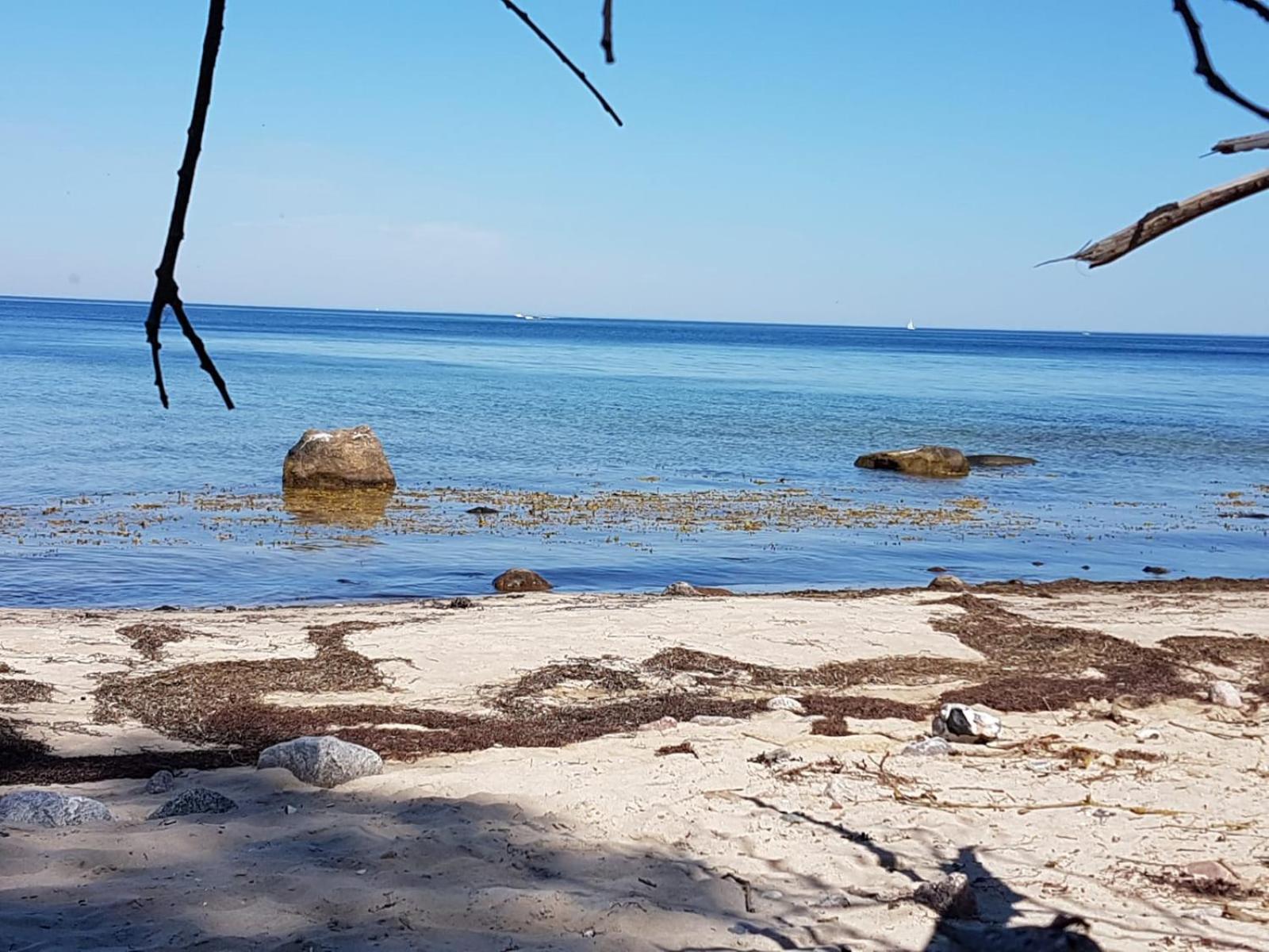Ferienwohnung Uta Grundshagen Εξωτερικό φωτογραφία
